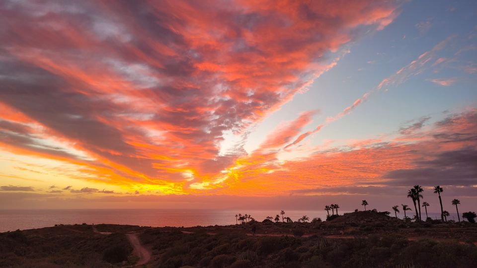 Tenerife: La Caleta Self-Guided Walking Tour - Common questions