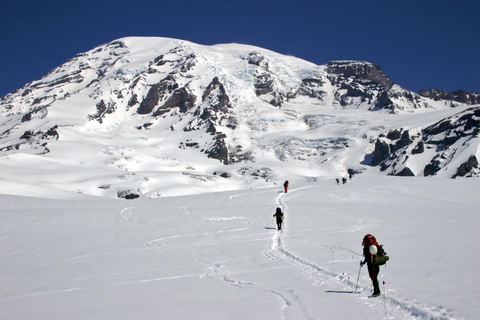 The Mount Rainier Majestic Trails Self-Guided Audio Tour - Last Words