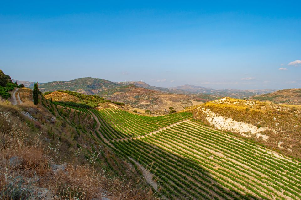 Through Heart of Crete to South & Wine Tasting Private Tour - Last Words