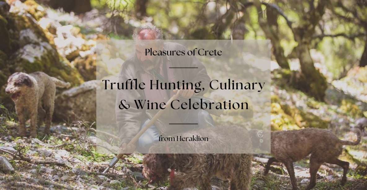 Truffle Hunting, Culinary & Wine Celebration From Heraklion - Last Words