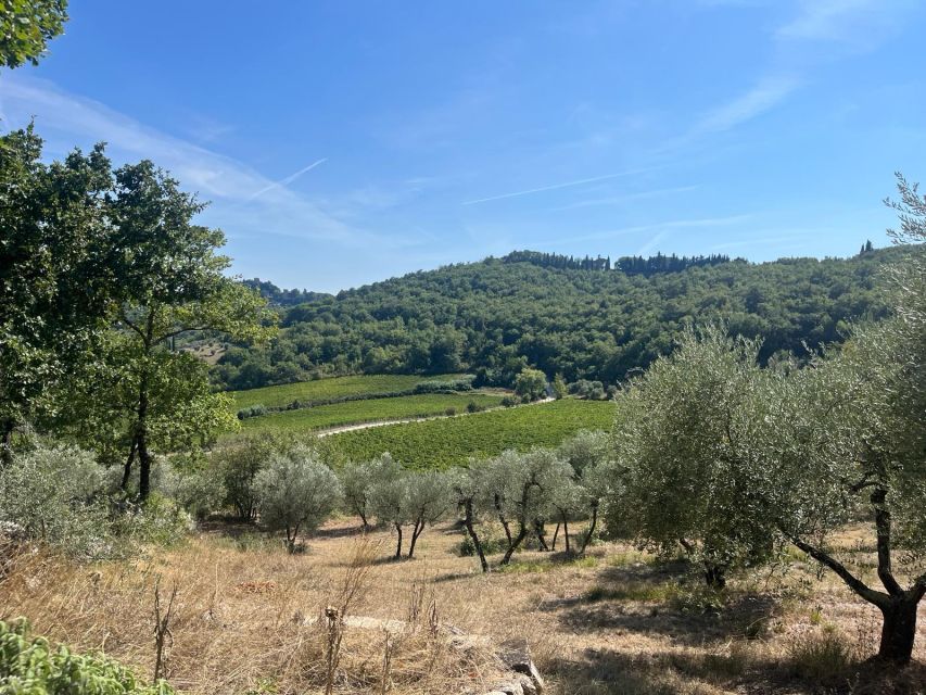TUSCANY: WINE TASTING IN THE HEART OF CHIANTI CLASSICO - Last Words