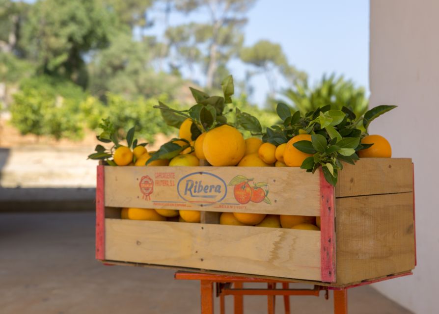 Valencia: Orange Farm and Orchard Trip With Tastings - Common questions