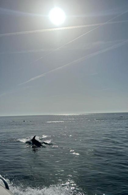 Yacht Ride With a Spacious Sun Deck Dolphin Watching - Last Words