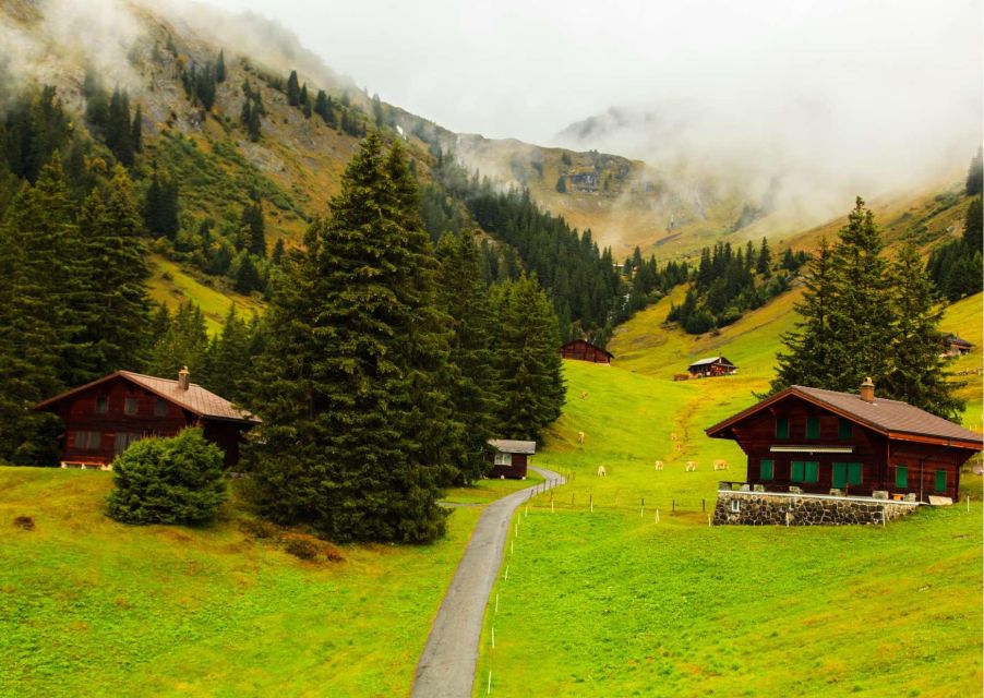 Zürich: Experience Swiss Countryside on Private Tour by Car - Last Words