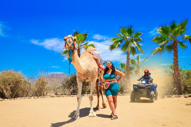 A Half-Day, Camelback Safari and ATV Ride Combo Tour  - Cabo San Lucas - Key Points