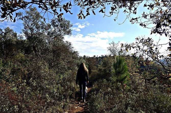 A Journey Through the Forgotten Sierra ... - Serra De Brasfemes, Coimbra - Key Points