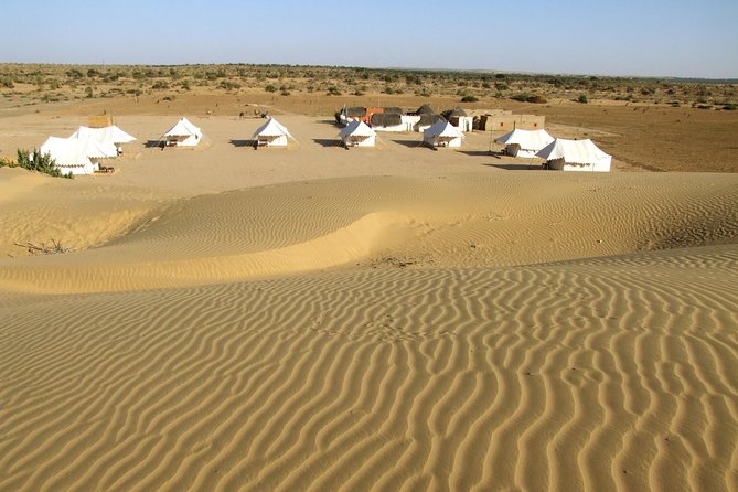 A Night in Thar Desert – Unforgettable Luxury Camel Safari - Key Points