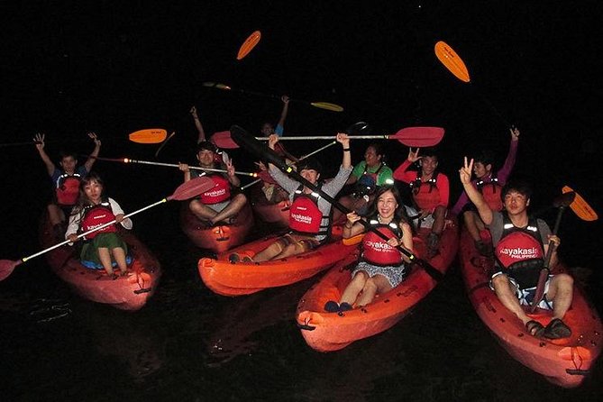 Abatan River Firefly Kayak Trip With Dinner and Transfers  - Tagbilaran City - Key Trip Information