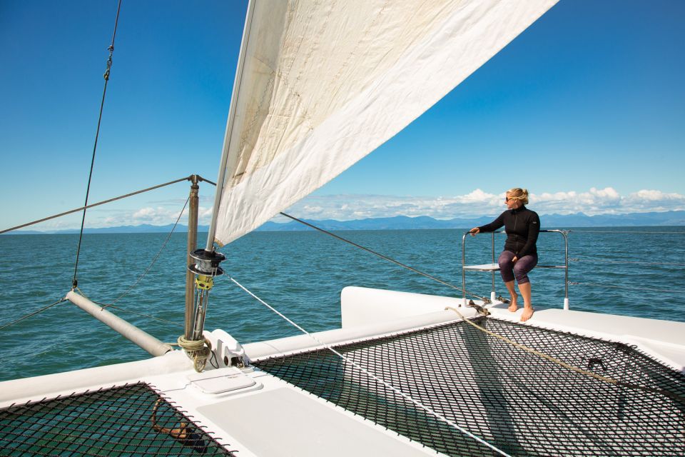 Abel Tasman National Park: Day Sailing Adventure With Lunch - Key Points