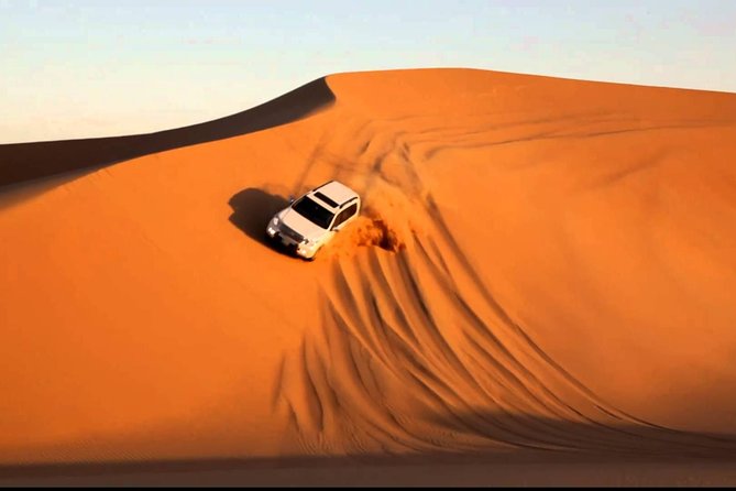 Abu Dhabi Desert Safari 4x4 Dune Bashing & Camel Riding & Sand Boarding With BBQ - Key Points