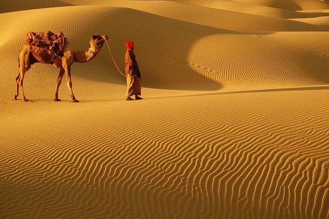 Abu Dhabi Desert Safari With BBQ Dinner , Camel Ride , Bally Dance - Key Points