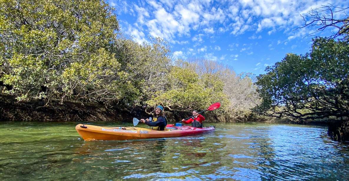 Adelaide: Dolphin Sanctuary 1 or 2-Person Kayak Rental - Key Points