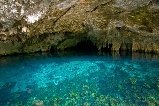 Admission Rio Secreto Wild Tour With Lunch - Key Points