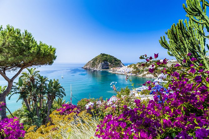 Afternoon Tour of the Island of Ischia by Bus - Key Points