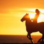 agadir and taghazout 2 hour sunset beach horseback ride Agadir and Taghazout: 2-Hour Sunset Beach Horseback Ride