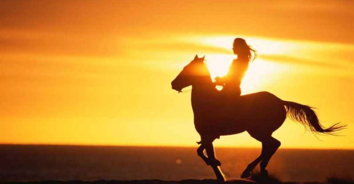 agadir and taghazout 2 hour sunset beach horseback ride Agadir and Taghazout: 2-Hour Sunset Beach Horseback Ride
