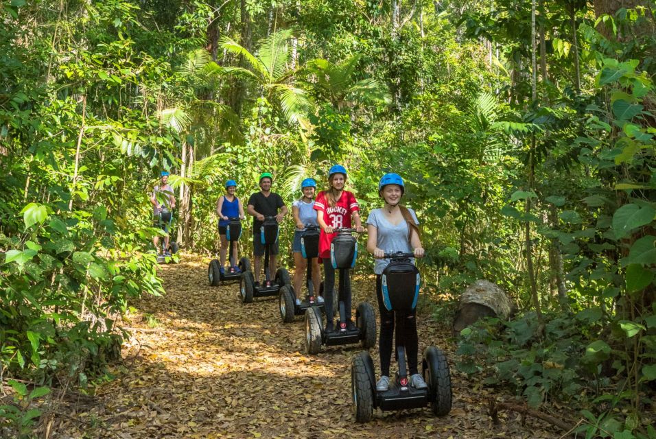Airlie Beach: Segway Rainforest Discovery Tour - Key Points