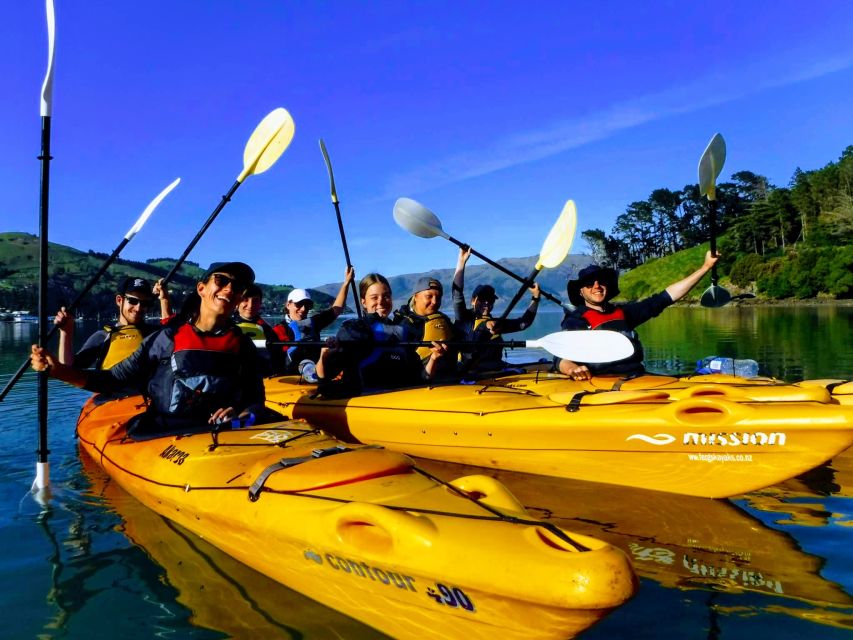 Akaroa: Electric Mountain Bike and Sea Kayak Adventure - Key Points
