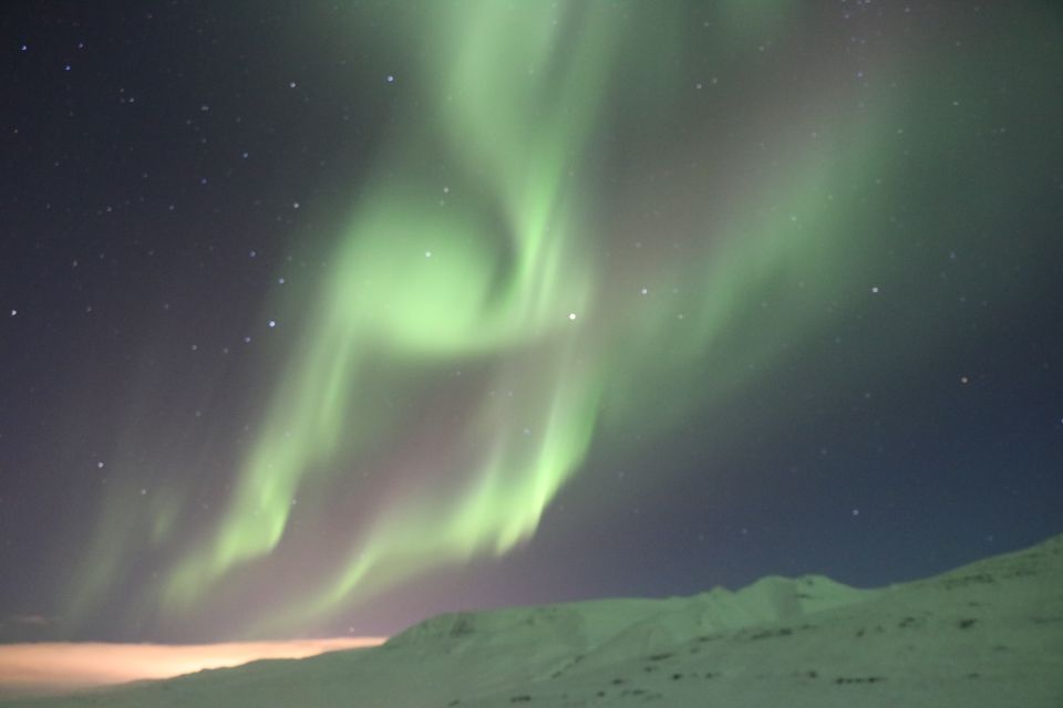 Akureyri: Hunt for the Northern Lights Photography Tour - Key Points