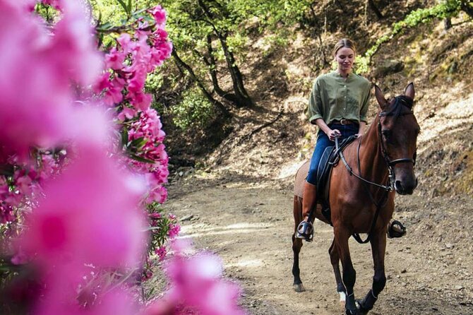 alanya horse riding experience with free hotel transfer Alanya Horse Riding Experience With Free Hotel Transfer