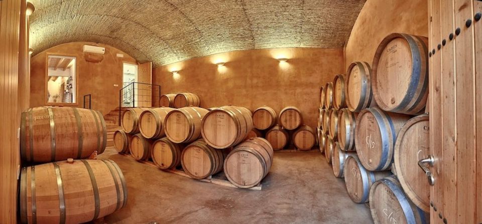 Alcudia: Vineyard Tour & Exclusive Wine Tasting Experience - Key Points