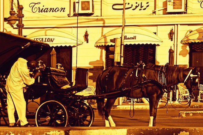 Alexandria Horse Carriage Tour - Key Points