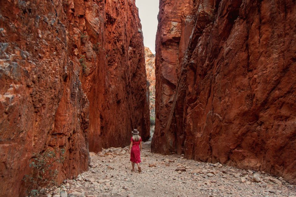 Alice Springs: West MacDonnell Ranges & Standley Chasm Tour - Tour Details