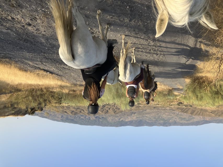 Almeria: Tabernas Desert Horse Riding for Experienced Riders - Key Points
