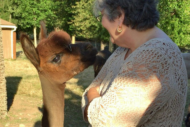 Alpaca Ranch and Fiber Processing Mill Tour - Key Points