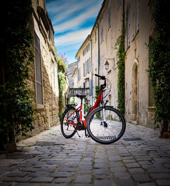 Alpilles: the Carrières De Lumières by E-Bike - Key Points