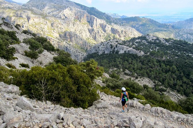 Alpine Hiking Tour in Winter Mallorca - Key Points