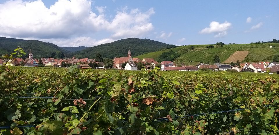 Alsace: Private Wine Tour - Key Points