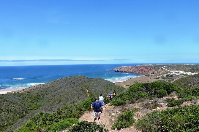 Amado Beach Walking Tour - Tour Highlights