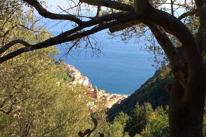 Amalfi to Pogerola Half-Day Private Hiking Tour - Key Points