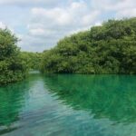 amazing beginner dive in tulum cenote or refresher dive Amazing Beginner Dive in Tulum Cenote (Or Refresher Dive)