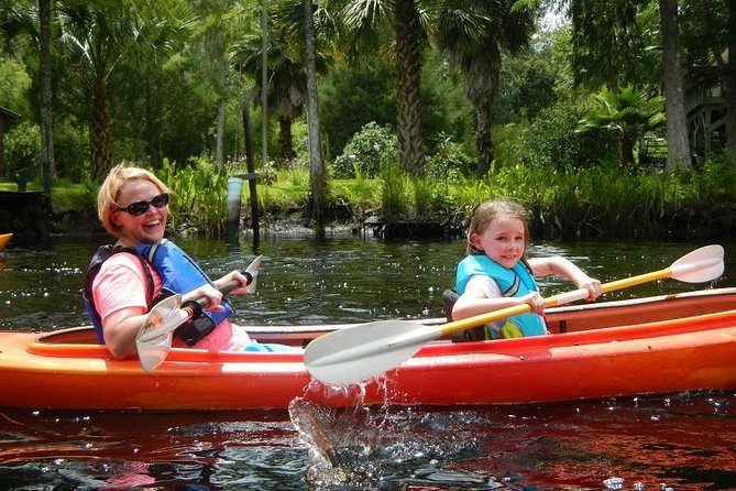 Amelia Island Area Kayak Rental on Lofton Creek With Adventures up the Creek - Key Points
