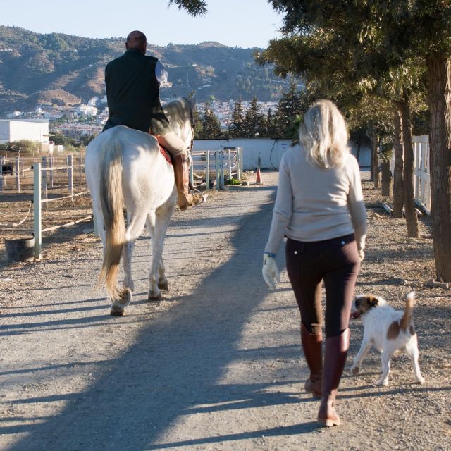 Andalucia: Horse Riding Tour With Picnic - Key Points