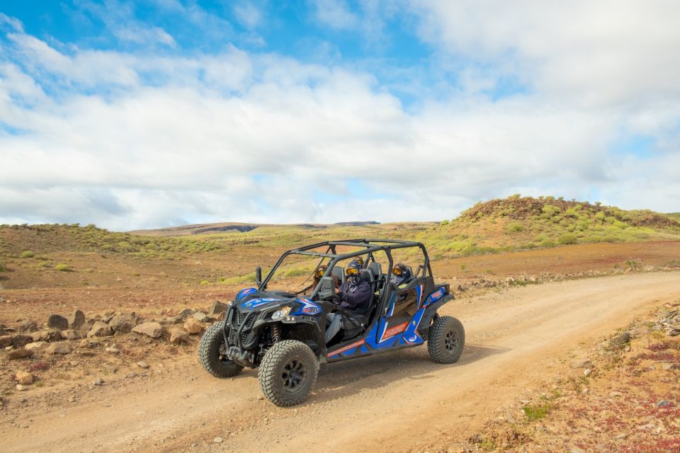 Anfi Beach: Guided Buggy Tour. - Key Points