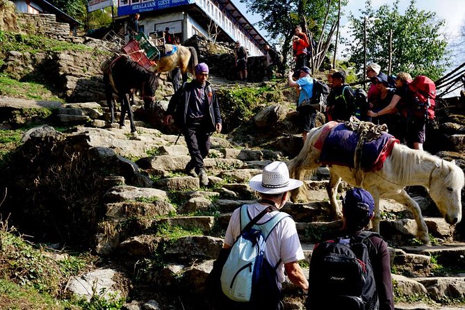 Annapurna Base Camp Trek - Trek Highlights