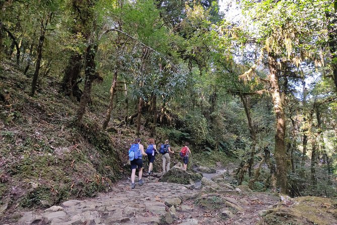 Annapurna Base Camp Trek - Trek Overview