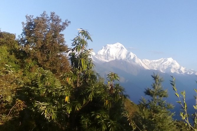 Annapurna Base Camp Trek 7 Days - Trek Duration and Highlights