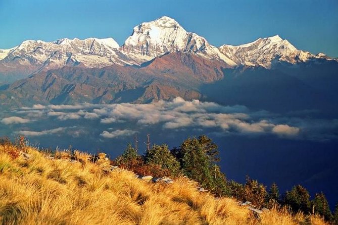 Annapurna Ghorepani Poonhill Trekking