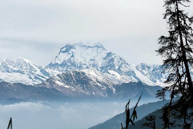 Annapurna Sanctuary Trek Including Round-Trip Domestic Flight - Key Points