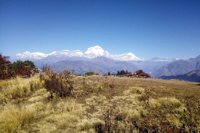 annapurna sunrise trek Annapurna Sunrise Trek