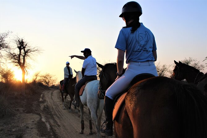 Aravali Trail Experience( Jungle Safari Forest Area)- Horseback Riding - Key Points