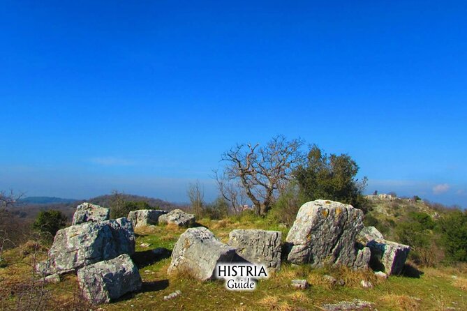 Archaeological Tour Near Poreč - Key Points