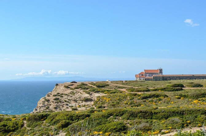 Arrabida Full Day Private Tour With Wine Tasting - Key Points