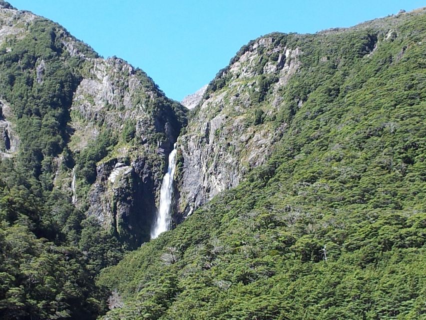 Arthur's Pass: TranzAlpine Train and Castle Hill Day Tour - Key Points