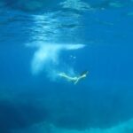 athens private cruise with snorkeling and swimming Athens: Private Cruise With Snorkeling and Swimming