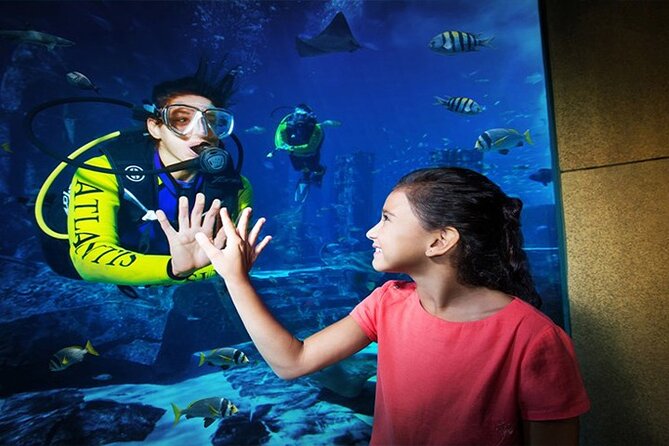Atlantis Lost-Chamber Aquarium Dubai - Key Points